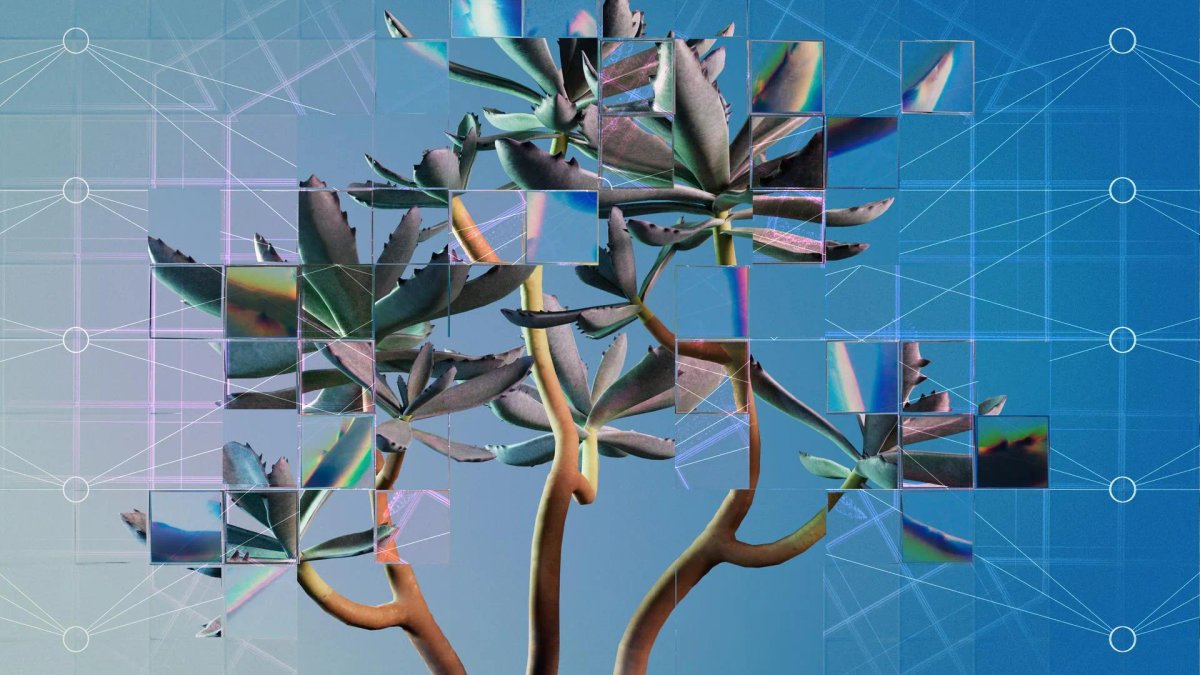 Ein abstraktes Bild mit blumenartigen Strukturen. Das Bild ist fragmentiert.